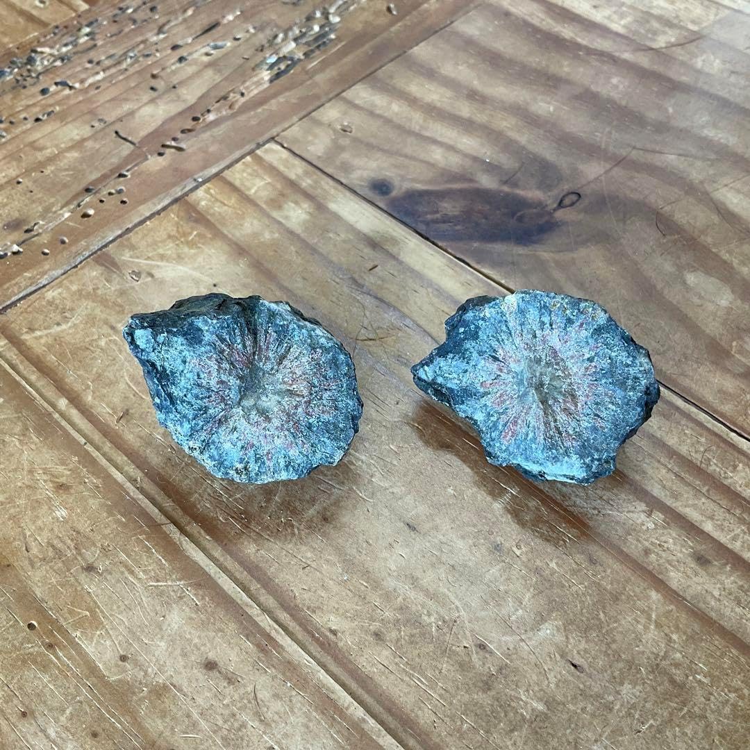 菊花石 その2 菊花石 岐阜県根尾谷産 双子2石セット 鑑賞